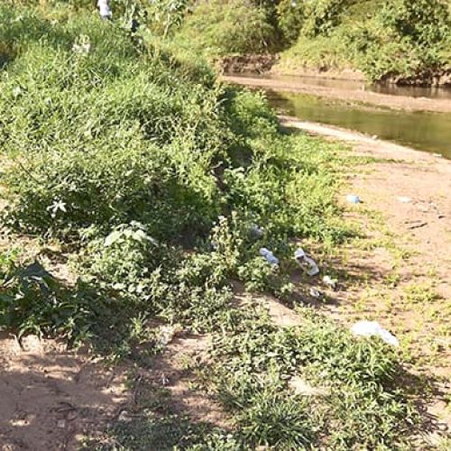 RONDONOPOLIS: Dia 20 de setembro: Juizado Ambiental mobiliza a população para mutirão de limpeza do Arareau