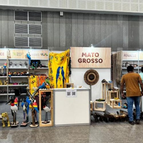 Artesanato de Mato Grosso movimenta R$ 169 mil em vendas durante evento nacional