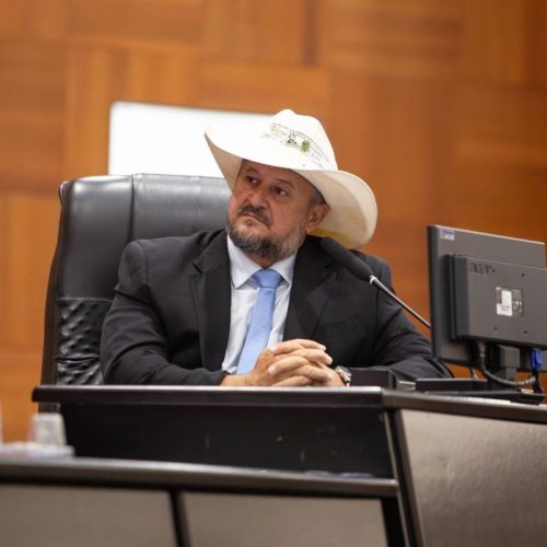 Assembleia Legislativa aprova comissão temporária contra o feminicídio em Mato Grosso