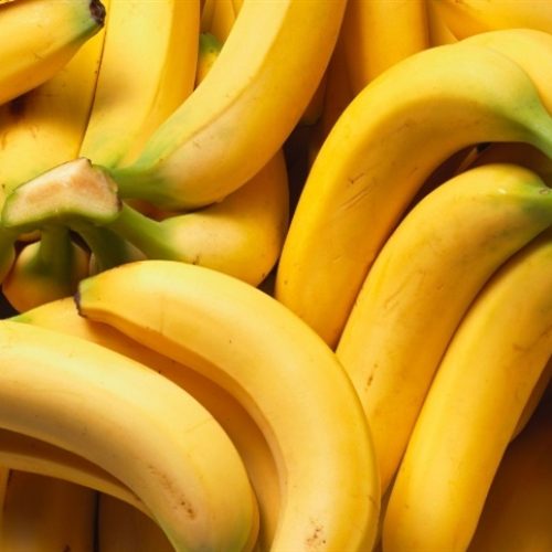 Tecnologia impulsiona produção de banana na Amazônia  