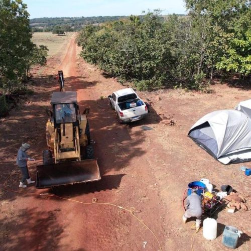 POR 90 DIAS: Governo de MT declara emergência zoossanitária após confirmação de caso de gripe aviária em Campinápolis
