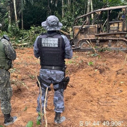 Batalhão Ambiental aplica cerca de R$ 69 milhões em multas no primeiro semestre