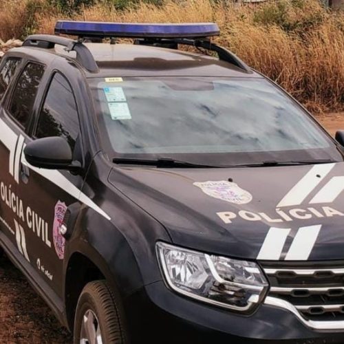 Bebê de 1 ano cai de picape dirigida pelo pai e morre atropelado em estrada rural