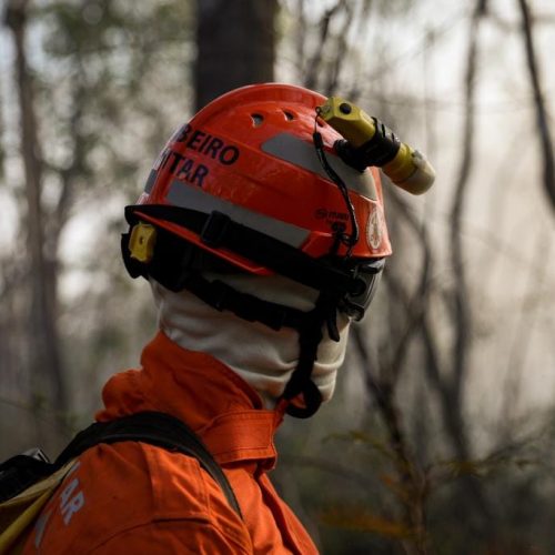 Bombeiros extinguem dois incêndios florestais e combatem outros dois nesta quinta-feira