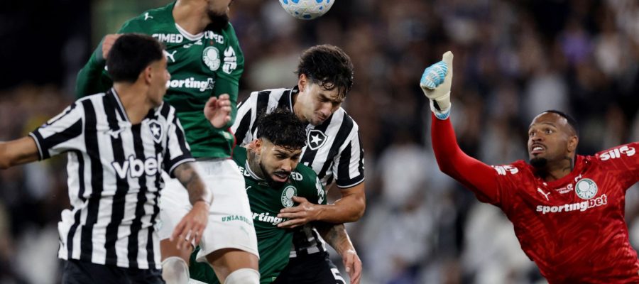 Botafogo segura Palmeiras e ajuda Flamengo, novo líder do Brasileirão