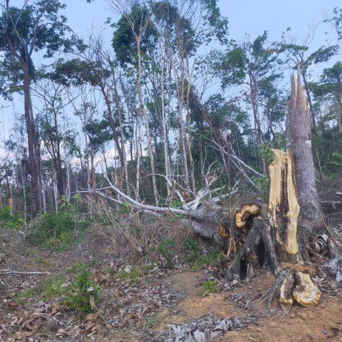 PORTO DOS GAÚCHOS: Tempestade com ventos fortes causa destruição em fazenda no Médio Norte de Mato Grosso