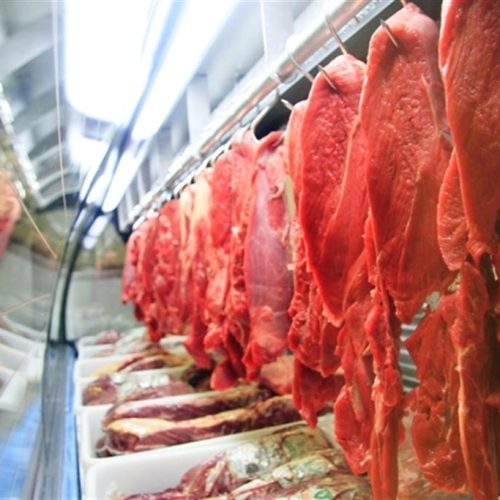 PRESSÃO ALTA: Oferta de carne bovina deve cair 4,9% em 2025 e pressionar preços no Brasil