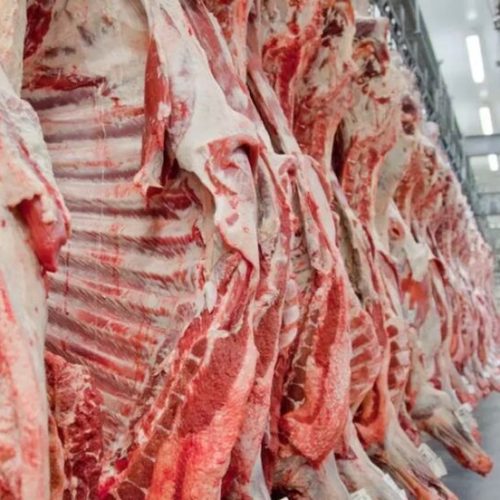 Venda de gado de Mato Grosso para abate em outros Estados cai 23%