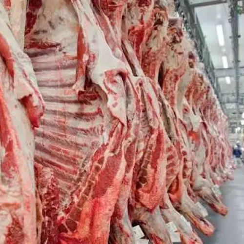 Uma em cada quatro toneladas de carne bovina exportada pelo Brasil sai de Mato Grosso