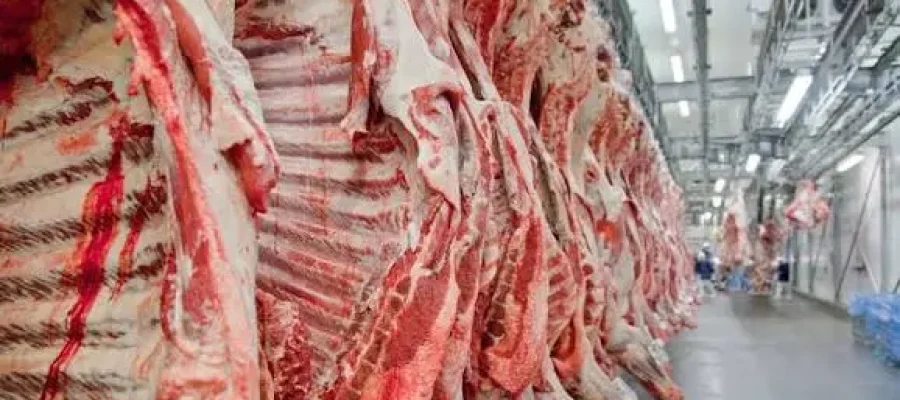 Uma em cada quatro toneladas de carne bovina exportada pelo Brasil sai de Mato Grosso