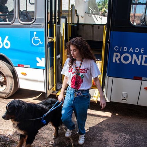 Transporte coletivo: Município passa a garantir direito ao acompanhamento de cães de assistência