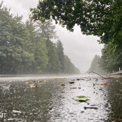 CLIMA E TEMPO: Chuva intensa no Centro-Oeste impulsiona agricultura com índices impressionantes