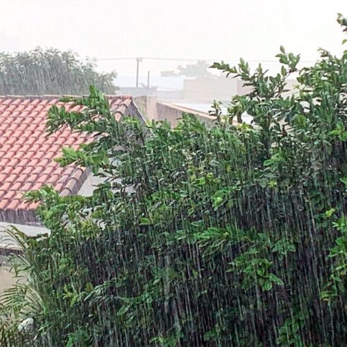 Chove em Cuiabá, Juína e mais cidades em Mato Grosso; veja previsão
