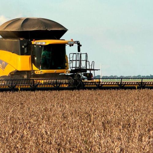Soja disponível em Mato Grosso tem leve alta; colheita avança