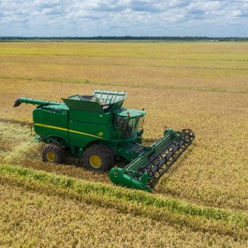 Tecnologia e clima favorecem safra recorde