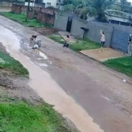 Câmera registra idoso sendo brutalmente atacado por dois pitbulls em MT