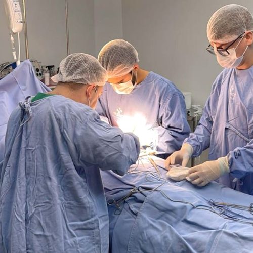 RONDONOPOLIS: Mais captação de órgãos | Festival Educarte | Licenciamento | COP30: propostas de MT