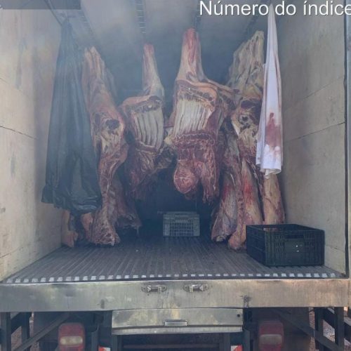 Carga de quase três toneladas de carne estragada é apreendida a caminho de Várzea Grande