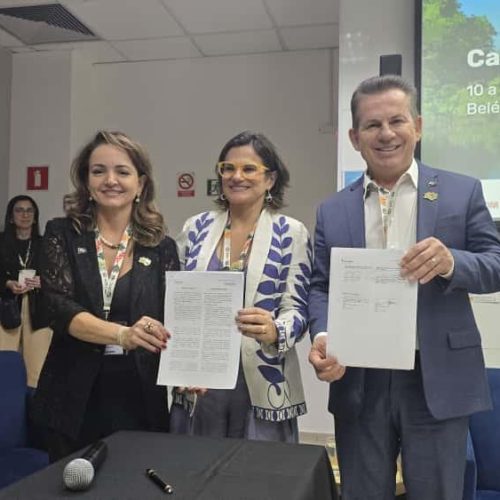 Carta de intenções sinaliza possibilidade de financiamento climático para Mato Grosso