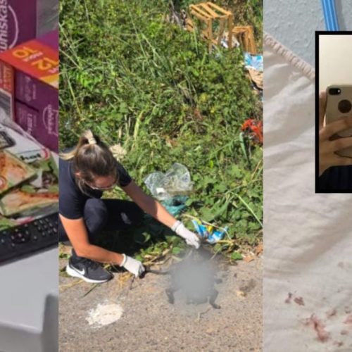 Casal é indiciado pela Polícia Civil por maus-tratos e morte de gatos no bairro Porto em Cuiabá