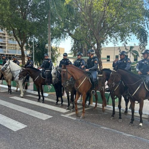 Cavalaria da Polícia Militar celebra 14 anos de criação com reforço do policiamento