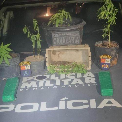 Cavalaria prende dois homens com tabletes e pés de maconha em Alto Paraguai