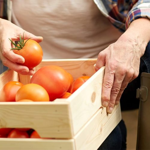 Cesta básica tem menor preço de 2025 em MT; tomate ajuda a puxar custo para baixo