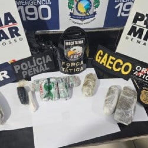 Cinco mulheres são presas pelo Gaeco ao tentar entrar com drogas nas partes íntimas em cadeia pública