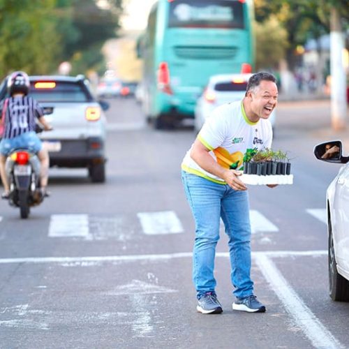 Semana do Meio Ambiente: Prefeito distribui mudas de árvores no semáforo
