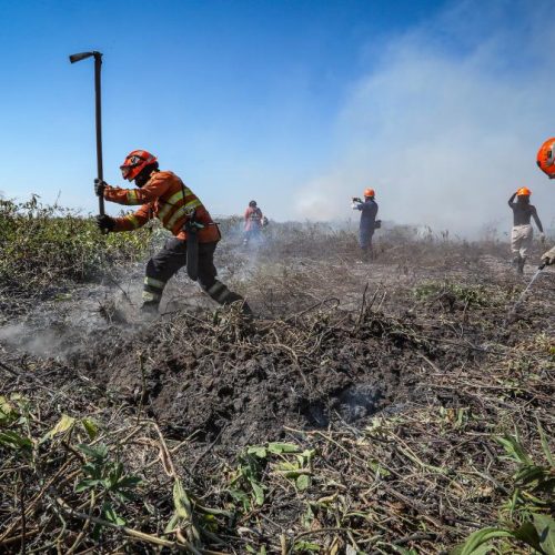 Governo de MT lança Plano de Ação de Combate ao Desmatamento Ilegal e Incêndios Florestais nesta segunda-feira (25)