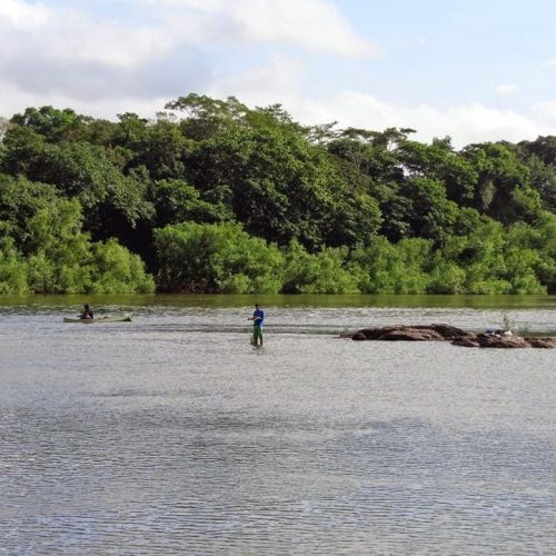 Comunidade celebra a tradição e a cultura ribeirinhas em festa aberta ao público em Cuiabá