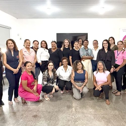 RONDONOPOLIS-MT: Participação: Conselho Municipal da Mulher elege nova diretoria em Rondonópolis