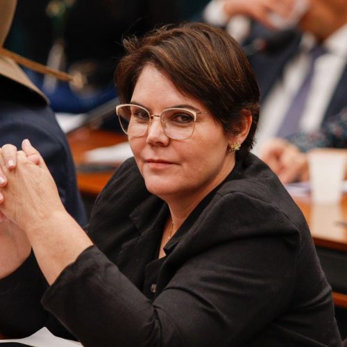 Coronel Fernanda é titular em comissões estratégicas na Câmara Federal