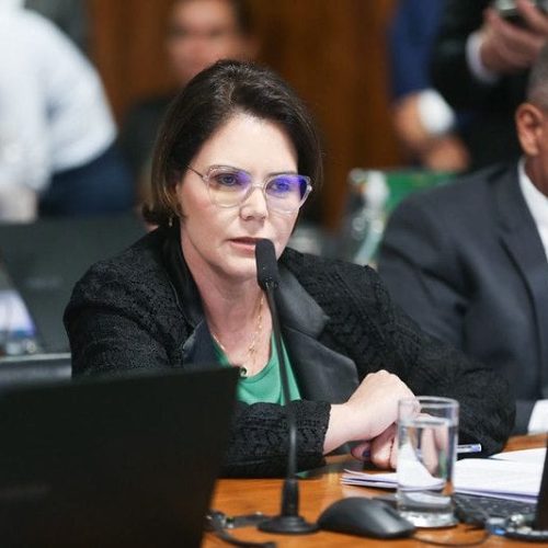 Coronel Fernanda pede a Arthur Lira alterações no PL que deve ser votado nesta quarta-feira