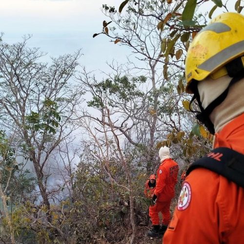 Corpo de Bombeiros aplica multa de R$ 80 milhões por incêndio criminoso em parque estadual