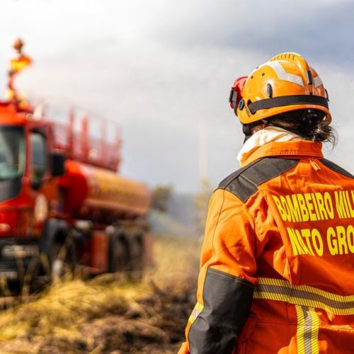Corpo de Bombeiros combate 11 incêndios florestais neste sábado em Mato Grosso
