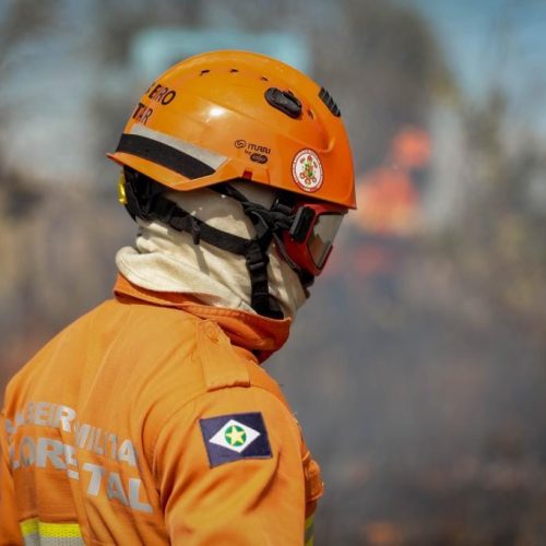 Corpo de Bombeiros combate 26 incêndios florestais nesta quarta-feira em Mato Grosso