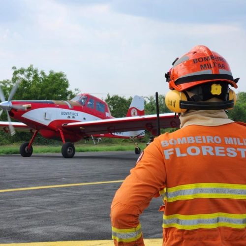 Corpo de Bombeiros combate 35 incêndios florestais nesta segunda-feira em Mato Grosso