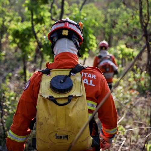 Corpo de Bombeiros combate incêndio criminoso no entorno de parque estadual; homem é preso