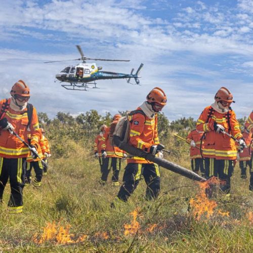 Corpo de Bombeiros combate oito incêndios florestais neste sábado em Mato Grosso