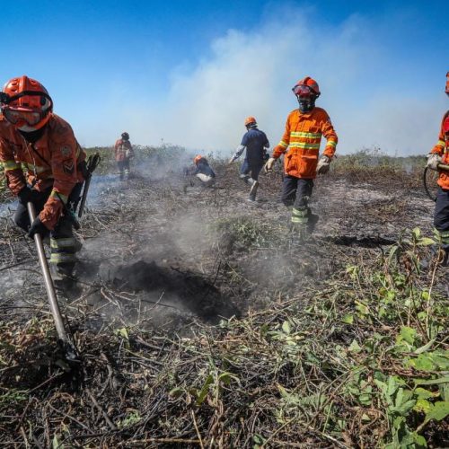 Corpo de Bombeiros combatem 2 incêndios florestais nesta segunda-feira