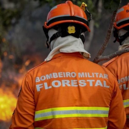 Corpo de Bombeiros de Mato Grosso combate 22 incêndios florestais neste domingo (31)