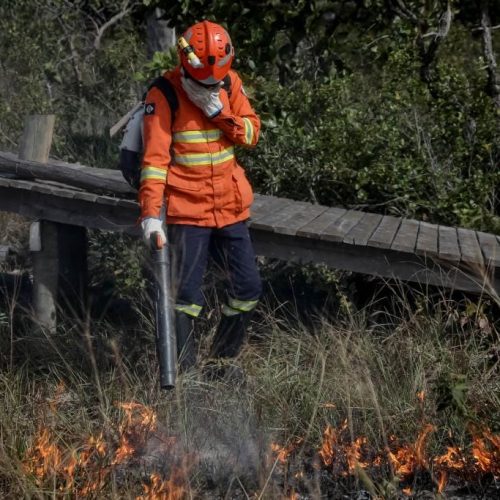 Corpo de Bombeiros extingue 3 incêndios florestais e combate 4 nesta segunda-feira