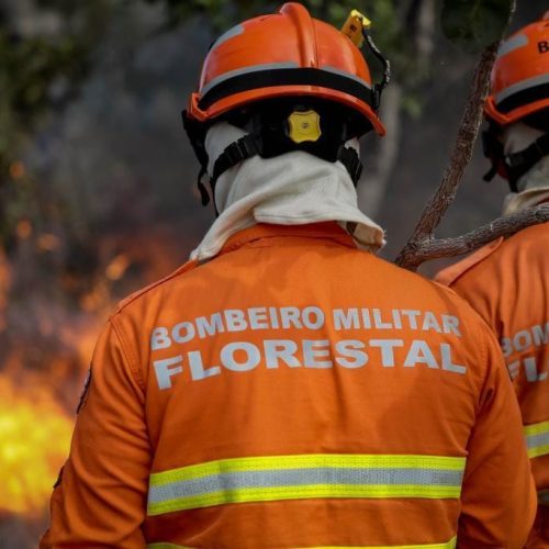 Corpo de Bombeiros extingue nove incêndios florestais e combate 13 nesta segunda-feira