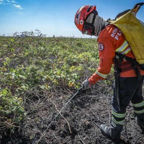 Corpo de Bombeiros extingue três incêndios florestais e combate 16 nesta segunda-feira