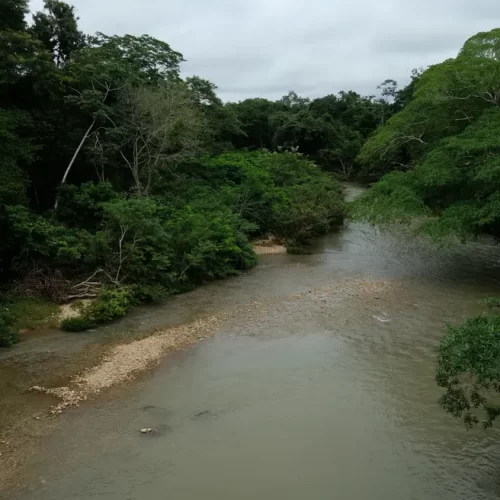 Corpo de Bombeiros segue buscas por mulher que sumiu no rio Coxipó após salvar criança