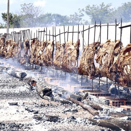 RONDONOPOLIS: Acontece neste domingo (13), a 31ª Edição do Costelão Rotary Rondon em prol da Apae. O evento tradicional começa às 10h e, além do costelão, traz várias atrações ao público, com shows musicais ao vivo. Este ano, o costelão será realizado no Tulipas Buffet e Eventos.