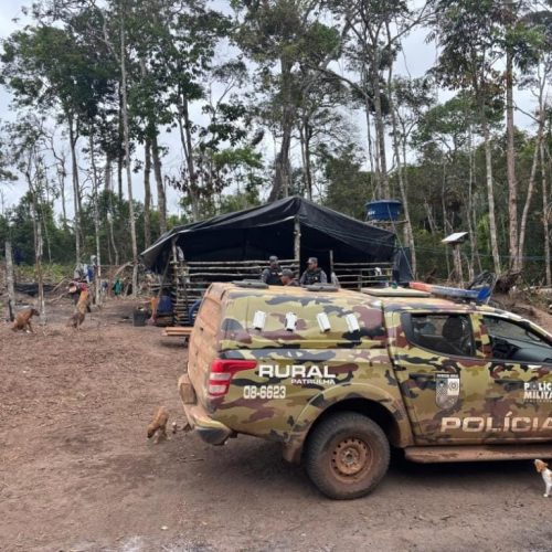 Crianças com idade entre 8 e 12 anos são resgatadas de trabalho infantil em MT e três pessoas são presas