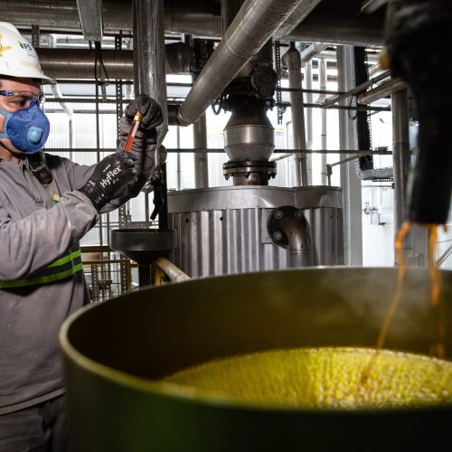 Cuiabá está entre as capitais com maior proporção de empregos verdes do Brasil