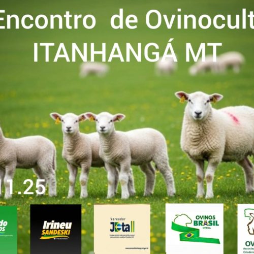 Itanhangá-MT: Ovinomat reforça a importância da organização da cadeia produtiva e convida produtores para o Dia de Campo em Itanhangá